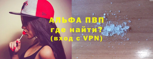 хмурый Няндома