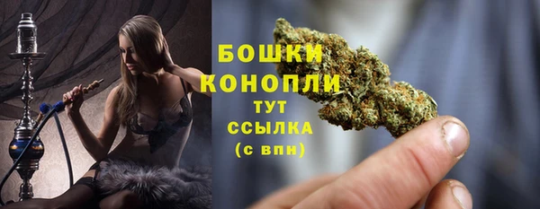 ПСИЛОЦИБИНОВЫЕ ГРИБЫ Новокубанск
