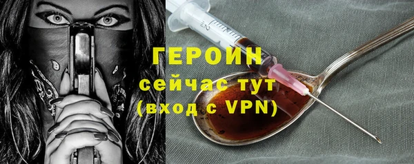 хмурый Няндома