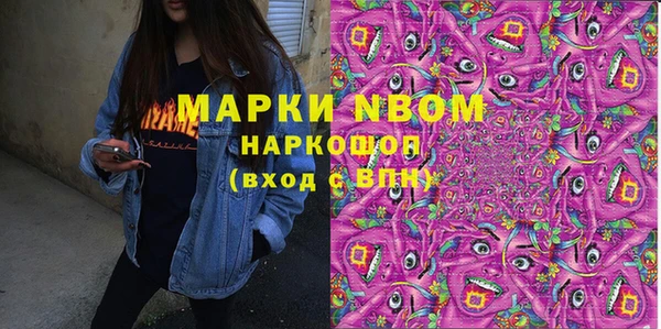 хмурый Няндома