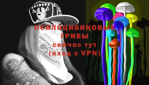 ПСИЛОЦИБИНОВЫЕ ГРИБЫ Новокубанск