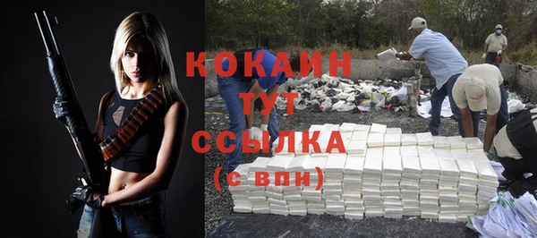 хмурый Няндома