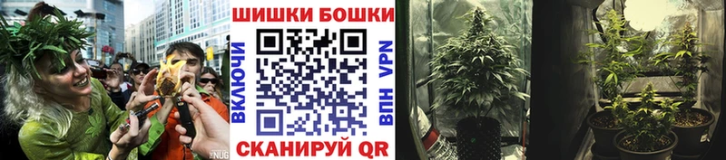 Каннабис план  Терек 